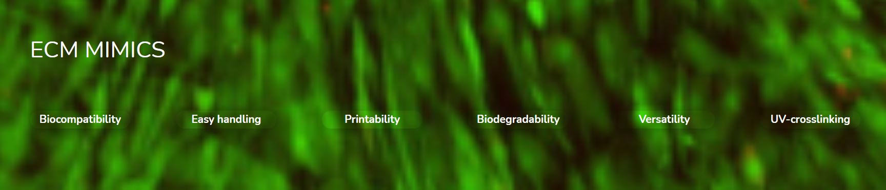 ECM MIMICS Capture - X GEL-MA Deposition Based ECM MIMICS 3D Printer Bioink