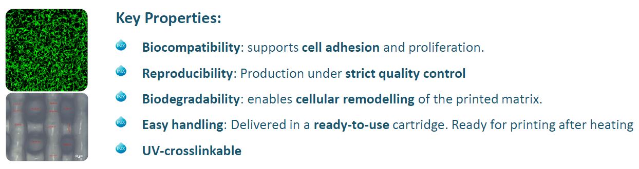 X GEL MA Properties - X GEL-MA Deposition Based ECM MIMICS 3D Printer Bioink